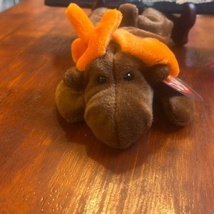 Original beanie baby, chocolate the moose